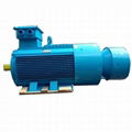 Slip Ring Induction Motor