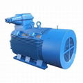 High Efficiency Asynchronous Explosion-Proof Motor 1