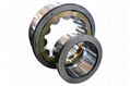 Single Row Cylindrical Roller Bearing 1