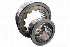 Single Row Cylindrical Roller Bearing