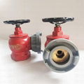 SN65 DN65 Fire Hydrant Pressure Reducing and Stabilizing type  Rotary Stabilized 4