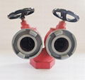 SNSSW65 Fire Hydrant Two Way Two Outlet Pressure Reducing and Stabilizing type 5