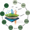 What is a PTFE Membrane?