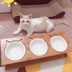 Cat Bowl