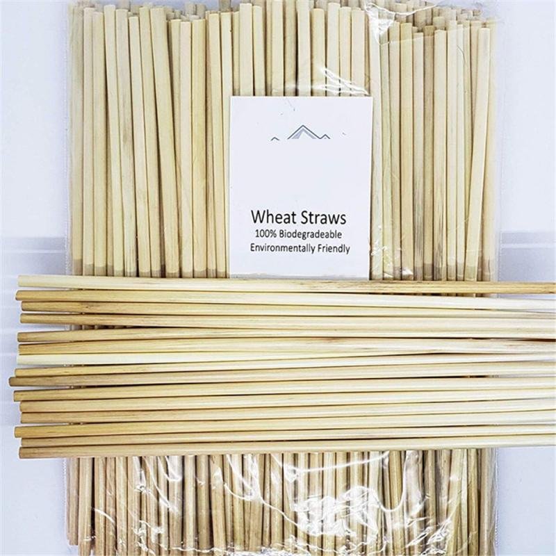 Bamboo straw 3