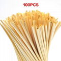 Bamboo straw