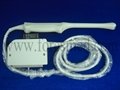 Siemens EC9-4 transvaginal compatible ultrasound probe 2