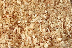 Wood Sawdust