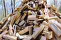 Firewood 1