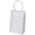 Gift Shopping Bags 1