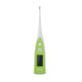 Digital Thermometer