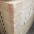 packing grade LVL plywood 3