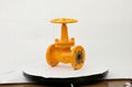 Russian Standard DN15-200mm WCB Handwheel Globe Valve 4