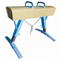 High Quality Low Price Gymnastic Standard Pommel Horse 1