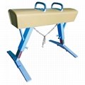 High Quality Low Price Gymnastic Standard Pommel Horse