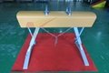 High Quality Low Price Gymnastic Standard Pommel Horse 2