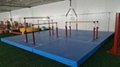 Children's Happy Gymnastics Equipment Combination
