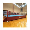 Aiba Professional Standard Boxing Ring, Prize Ring, Squared Circle