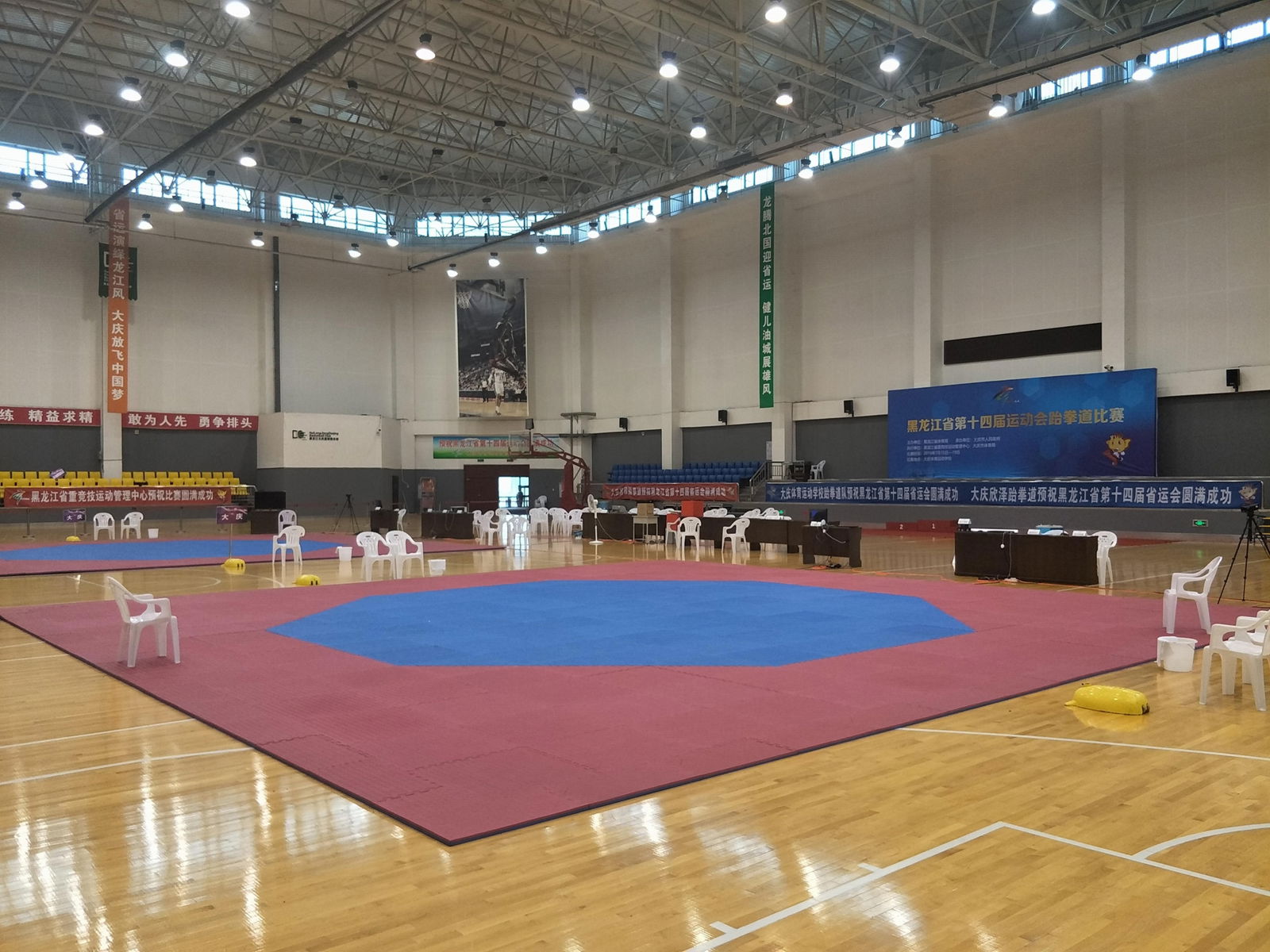 High Quality Factory Direct Supply Cheap Taekwondo EVA Mat Field 4