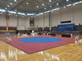 High Quality Factory Direct Supply Cheap Taekwondo EVA Mat Field