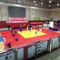 IJF Standard Professional Judo Tatami Mat