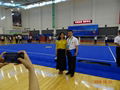 High Quality Wushu Competition Field Kongfu Field