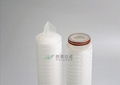 HFPS Series High Flow PES Membrane Filter Cartridge