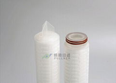 HFPS Series High Flow PES Membrane Filter Cartridge