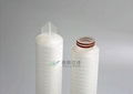 PFL/PFLH PTFE Membrane Filter Cartridge