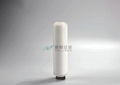  PFA Corrosion-resistant Fluorine Membrane Filter Cartridge 1