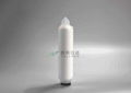  PFA Corrosion-resistant Fluorine Membrane Filter Cartridge 2