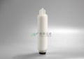  PFA Corrosion-resistant Fluorine Membrane Filter Cartridge 3