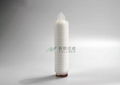  PFA Corrosion-resistant Fluorine Membrane Filter Cartridge 4