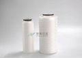 83mm Wet Process High Flow Membrane Filter Cartridge 3