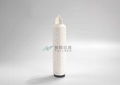 PBT Polyester Membrane Filter Cartridge