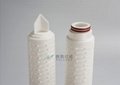 PBT Polyester Membrane Filter Cartridge