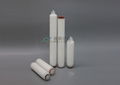 PLGF Liquid Filtration Glass Fiber Membrane Filter Cartridge 3