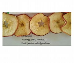 DRIED APPLE SLICE