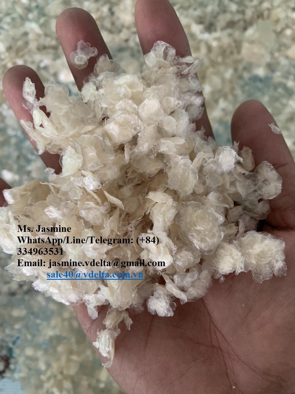 FISH SCALE for MAKING COLLAGEN FROM VIET NAM 2