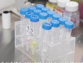 新型冠状病毒（2019-nCoV）IgM/IgG 抗体检测试剂盒（胶体金法）） 3