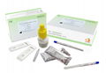 SARS-CoV-2 Antigen Test Kit (Colloidal Gold Method) 1