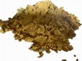 Mycelium protein powder feed raw material additives manufacturer price 3