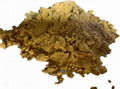 Mycelium protein powder feed raw material additives manufacturer price