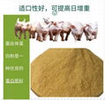 Premixed feed additive bacterial protein powder.