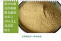 Premixed feed additive bacterial protein powder. 3