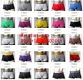 WHOLESALE top AAA CK boxer CK man's underwear              underpant best seller 3