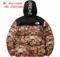 Wholesale THE NORTH FACE down jackets  Men and Women THE NORTH FACE jackets 16
