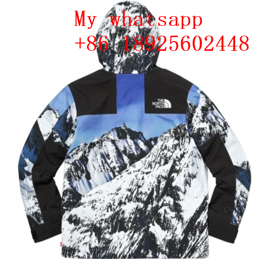 Wholesale THE NORTH FACE winter jackets outdoor jacket ALL code in spot 4