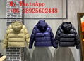 Wholesale           Down Jacket          vest           jacket top 1：1quality  2