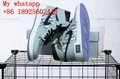 Wholesale top AAA  jordan high tops sport shoes high quality AJ sneaker